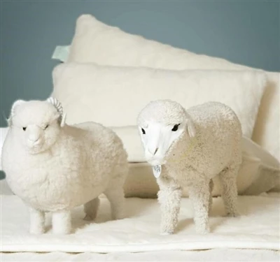 What Are The Benefits Of Merino Wool?